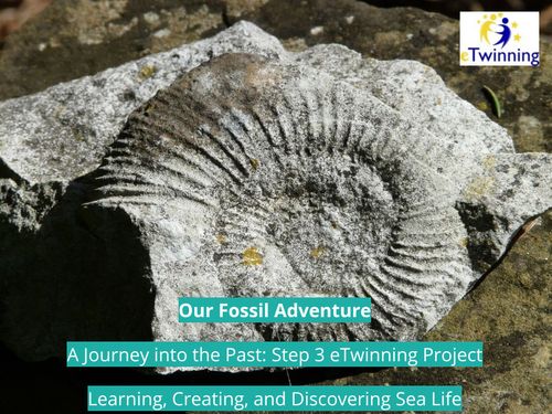 The Secret Life of Fossils: A Hands-on Journey from Past to Present