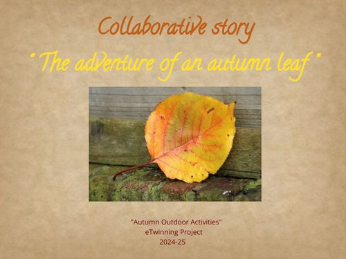 The adventure of an autumn leaf