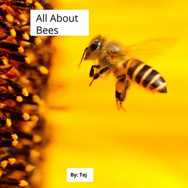 All About Bees 