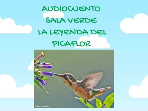 leyenda del picaflor