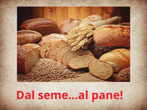 Book Creator Dal Seme Al Pane