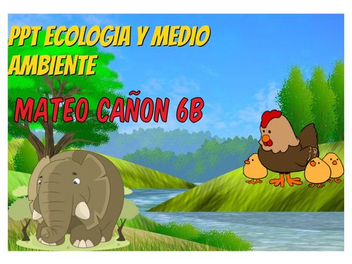 Book Creator Ecolog A Y Medio Ambiente