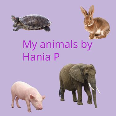Animal book
