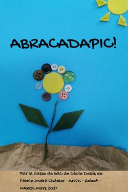ABRACADAPIC