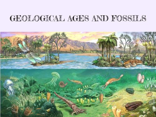 Book Creator | GEOLOGICAL ERAS