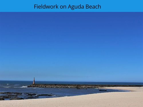 Fieldwork on Aguda Beach