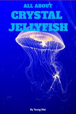All About Crystal Jellyfish