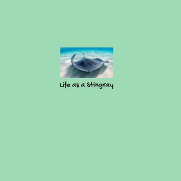 Life as a Stingray 