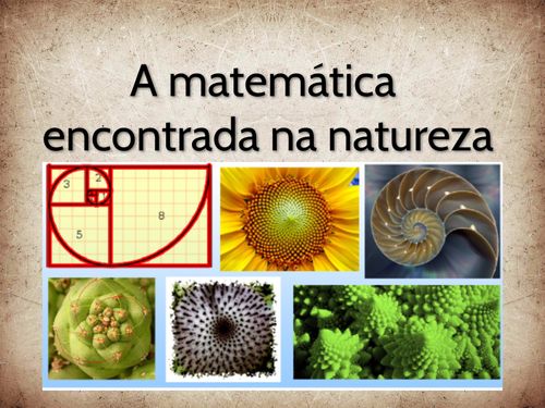 Book Creator | A matemática encontrada na natureza
