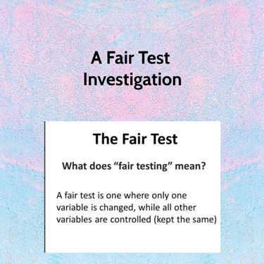 Book Creator | Fair Test Investigation