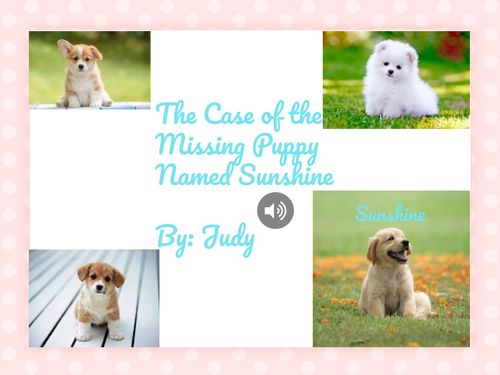 The Case of the Missing Puppy Named Sunshine