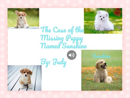 The Case of the Missing Puppy Named Sunshine