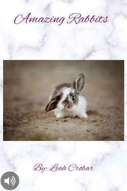 Book Creator | Amazing Rabbits