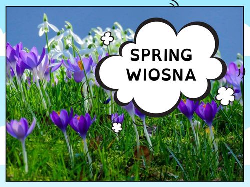 Book Creator | SPRING