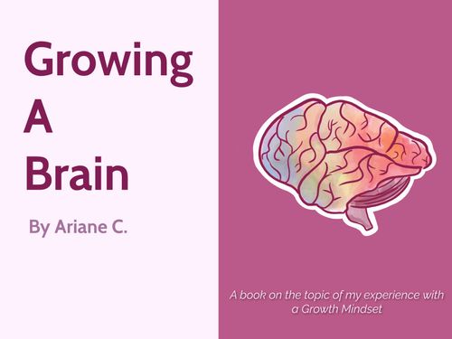 Growing a Brain