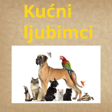 Kućni ljubimci - ljubav bezuvjetna