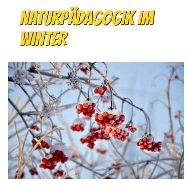 Naturpädagogik im Winter
