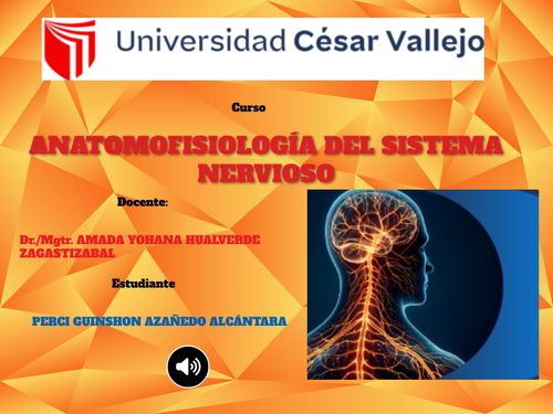 Book Creator | Anatomofisiología del sistema nervioso