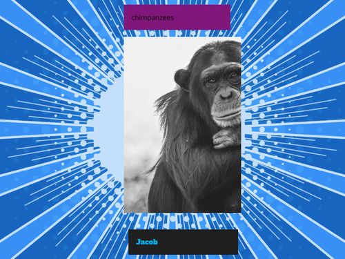 Book Creator | Chimpanzee