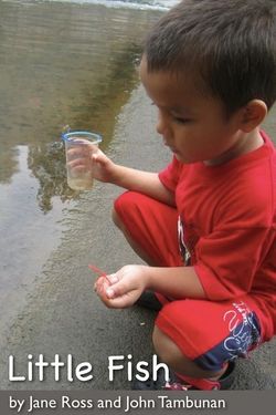 Little Fish