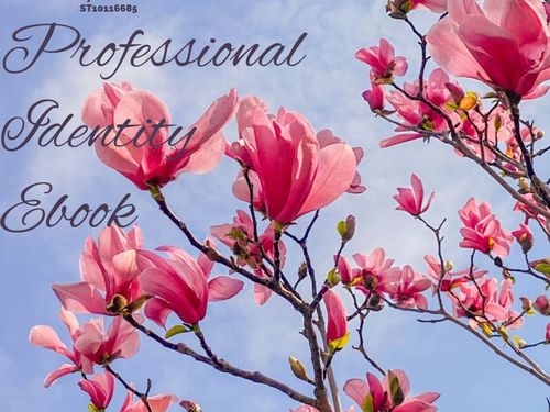 Book Creator | My Professional Identity Ebook