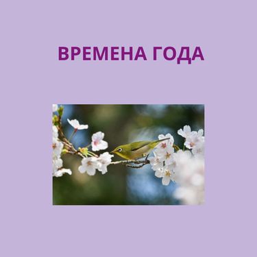 книга времена года в моей тарелке