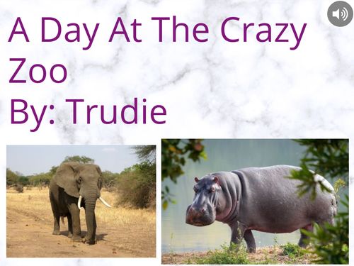 A Day at the Crazy Zoo
