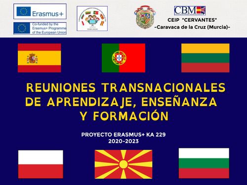 REUNIONES TRANSNACIONALES