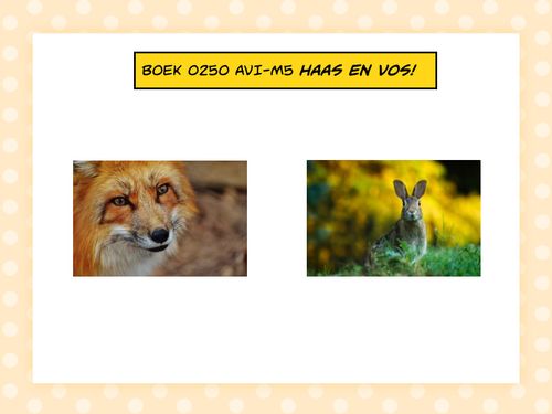 Book Creator Boek Avi M Haas En Vos