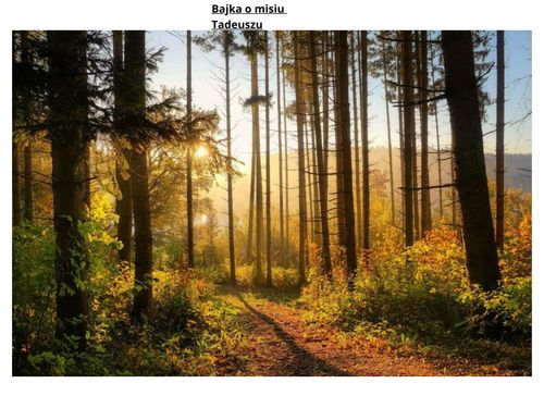 Book Creator | Bajka o misiu Tadeuszu