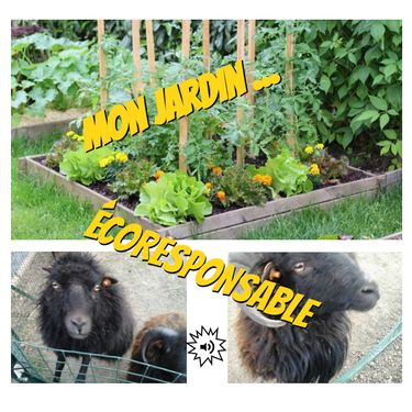 Mon jardin écoresponsable