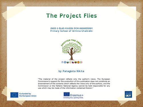 Book Creator | The Project Flies