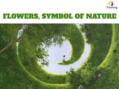 FLOWERS, SYMBOL OF NATURE 
