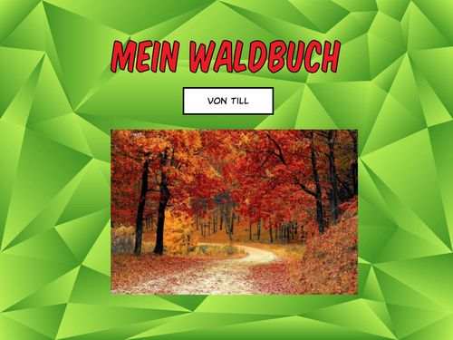 (copy) Waldbuch von Till