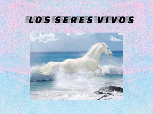 LOS SERES VIVOS