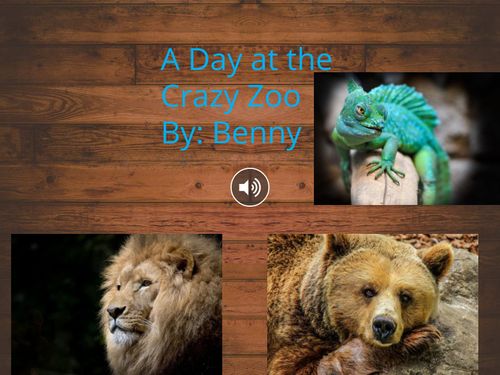 A Day at the Crazy Zoo