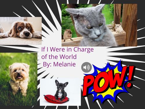 If I Were in Charge of the World