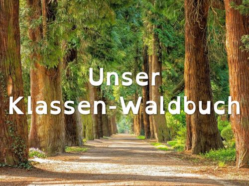Klassen-Waldbuch