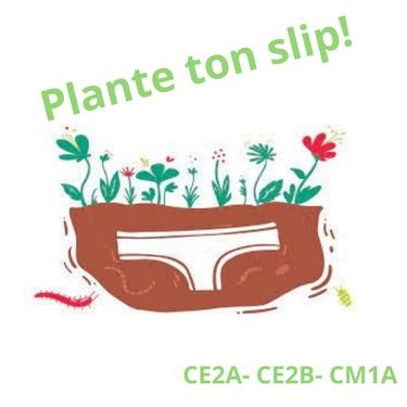 Plante ton slip!