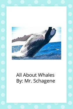 Book Creator | All About Whales