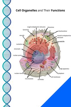 Book Creator | Cell Organelles