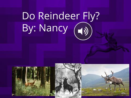 Do Reindeer Fly?