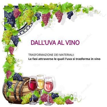 Book Creator Dall Uva Al Vino