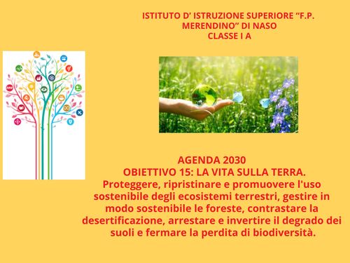 Book Creator OBIETTIVO 15 LA VITA SULLA TERRA