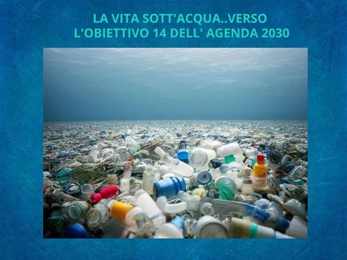 Book Creator | LA VITA SOTT'ACQUA VERSO L'OBIETTIVO 14 DELL'AGENDA 2030