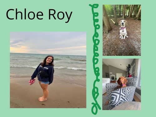Book Creator | Chloe's Library