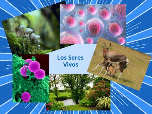 Book Creator | los seres vivos