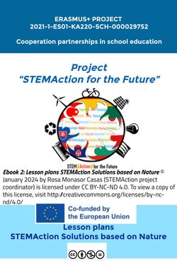 Ebook 2: Lesson plans STEMAction Solutions based on Nature