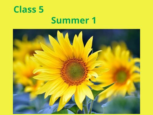 Class 5 Summer 1