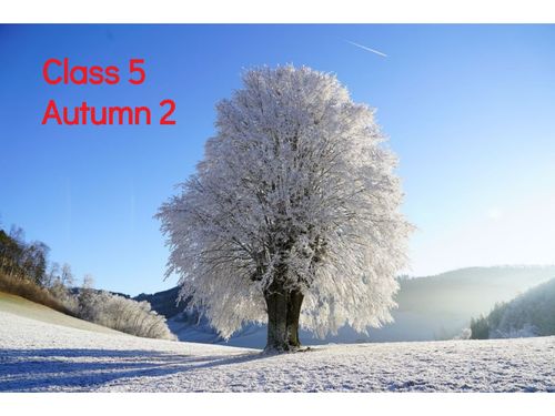 Class 5 Autumn 2